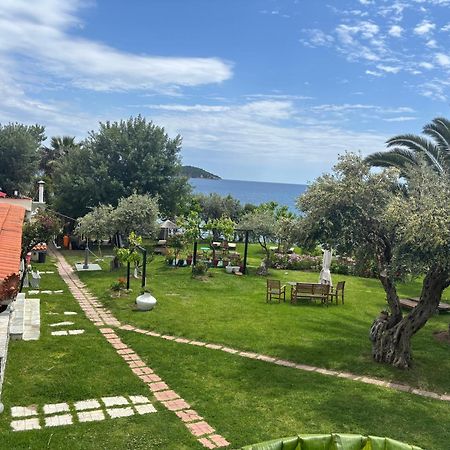 Angeliki Beach Hotel Megali Ammos  Ngoại thất bức ảnh